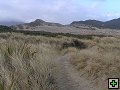 thn_Steward Island 028.jpg